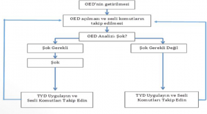 OED Eğitimi