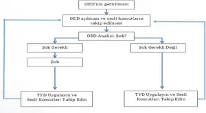 OED Eğitimi