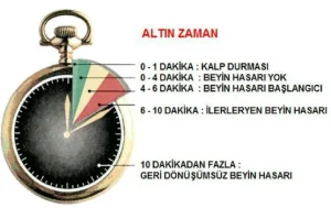 Temel Yaşam Desteği Basamakları